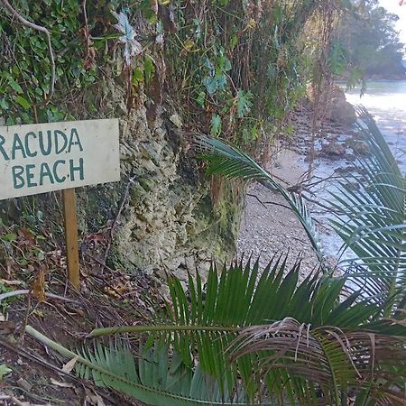 Barracuda Beach Hotel Port Antonio Exterior photo