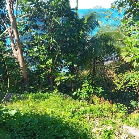 Barracuda Beach Hotel Port Antonio Exterior photo