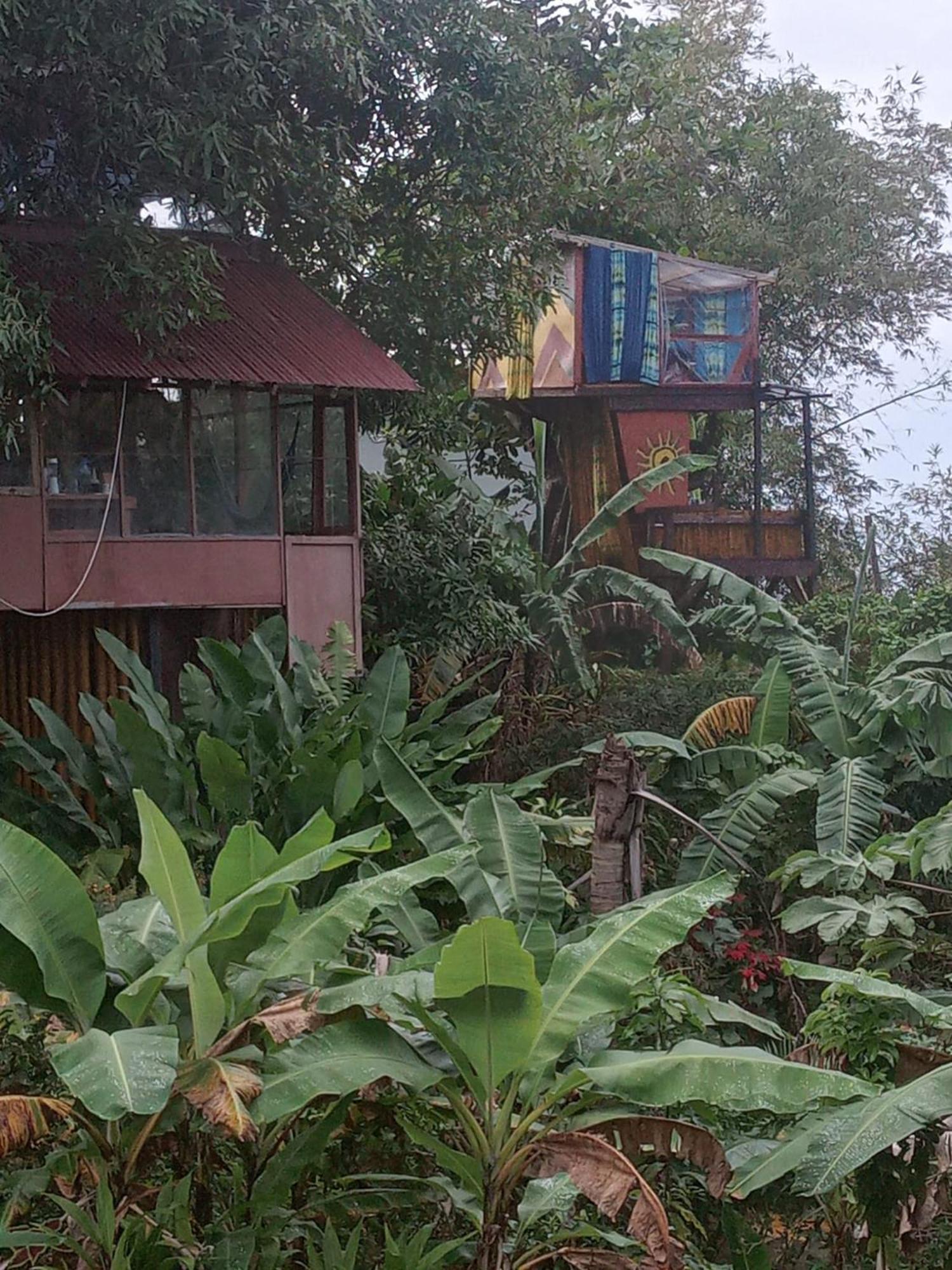 Barracuda Beach Hotel Port Antonio Exterior photo