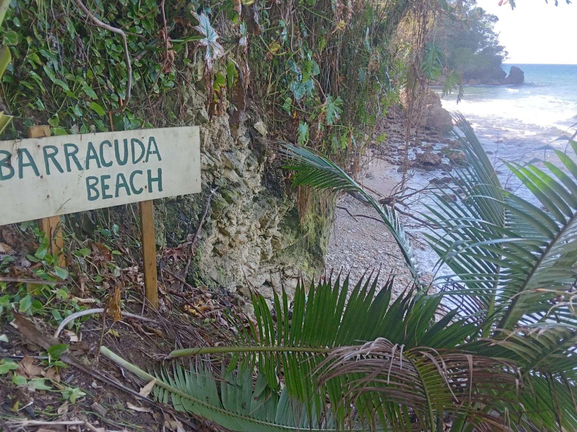 Barracuda Beach Hotel Port Antonio Exterior photo