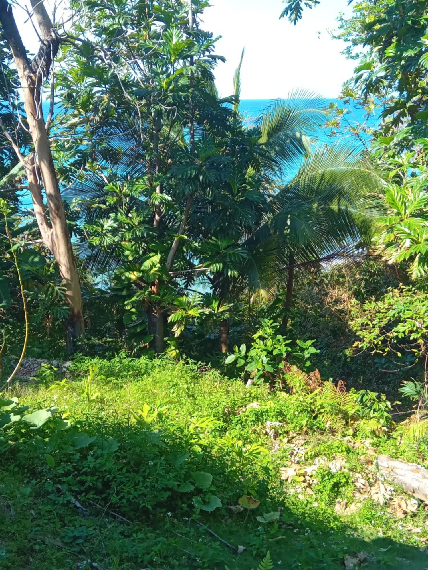 Barracuda Beach Hotel Port Antonio Exterior photo