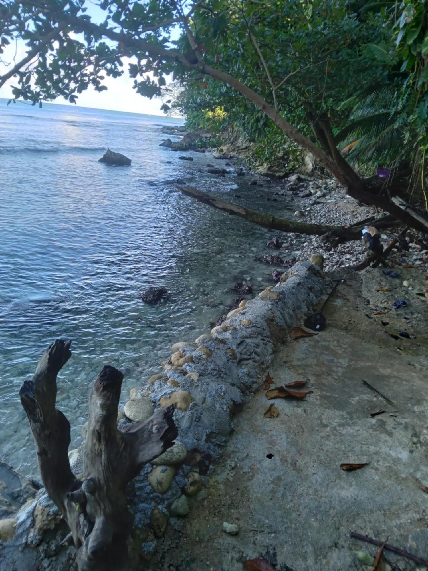 Barracuda Beach Hotel Port Antonio Exterior photo