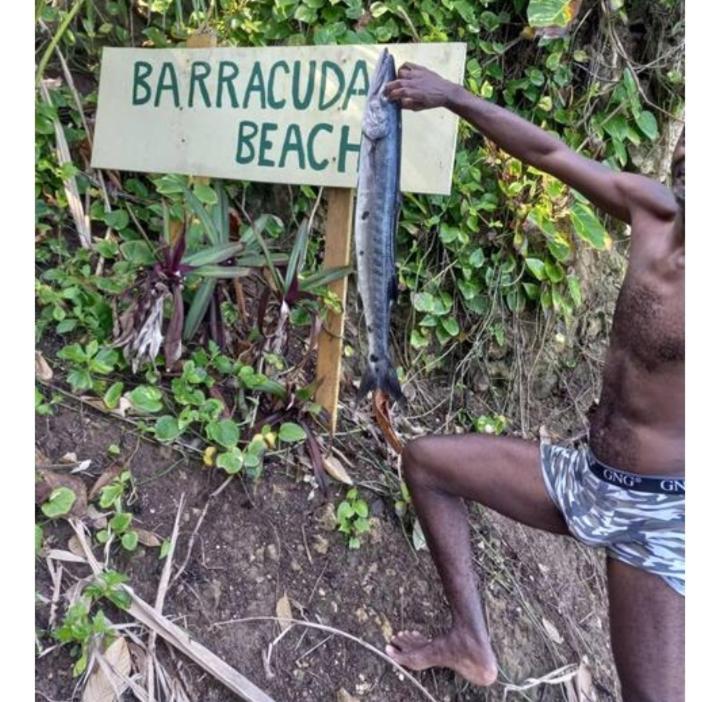 Barracuda Beach Hotel Port Antonio Exterior photo